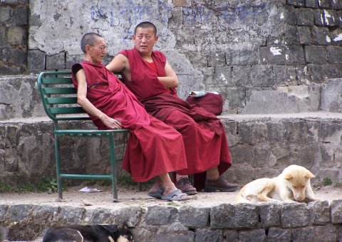 Trekking Meditation Buddhismus Indien Dharamsala