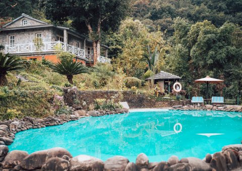 Der Pool, eingebettet im exotischen Garten