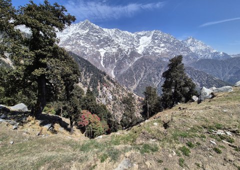 Trekking durch das Himalaya